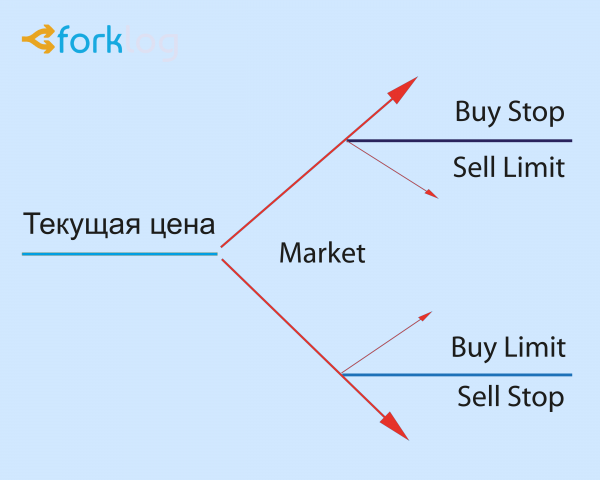 Главные понятия в трейдинге: валютная пара, биржевой стакан, ордер и другие cryptowiki.ru