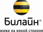 Продавец-консультант в салон Билайн