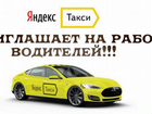 Водитель в такси Город Пушкин