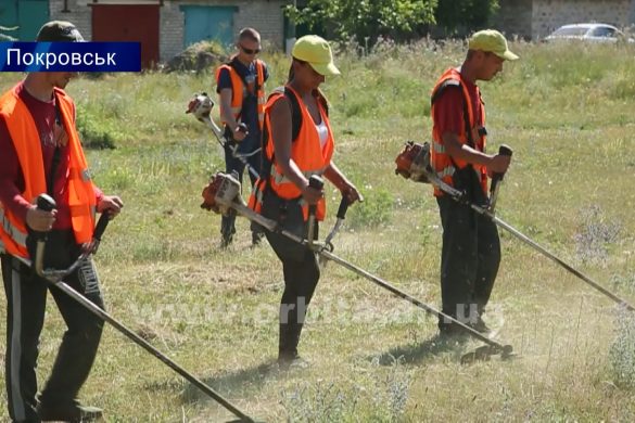 Понад 70 двірників щодня слідкують за чистотою у Покровську