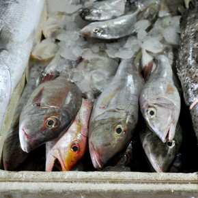 Рыбный рынок Джимбаран